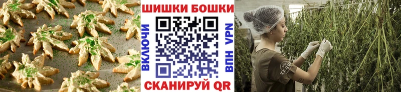 Canna-Cookies марихуана  Яровое 