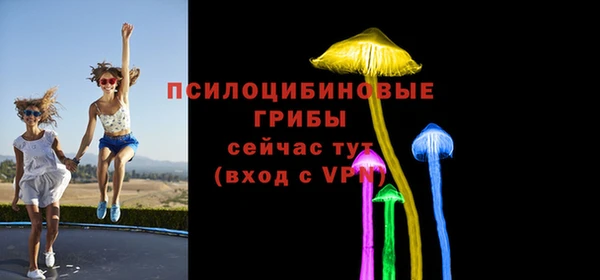 МДПВ Абдулино