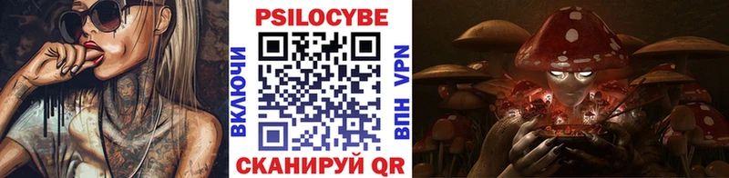 Галлюциногенные грибы мицелий  Яровое 